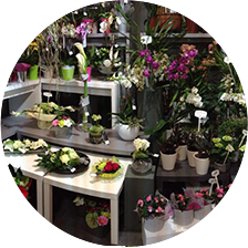Atelier floral à Sedan
